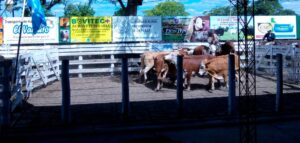 Agroveterinaria Bovitec