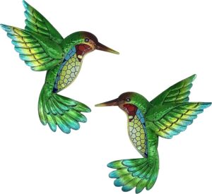 Ala De Colibrí