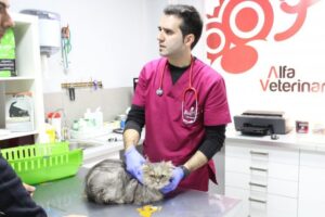 Alfa Servicios Veterinarios