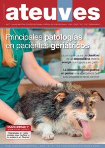 Bertrand Veterinaria