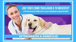 Centro Veterinario Moron