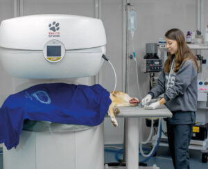 CEV 24hs Clínica De Emergencias Veterinarias