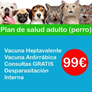 Clínica Veterinaria Como Perro Y Gato