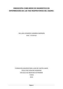 Clínica Veterinaria "El Relincho"