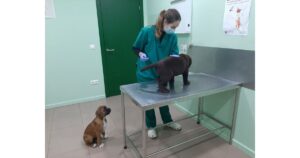 CLÍNICA VETERINARIA EMPALME