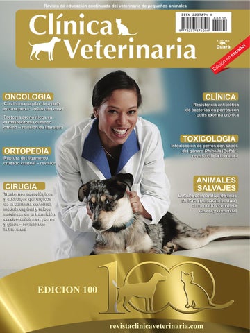 Clínica Veterinaria Hocico