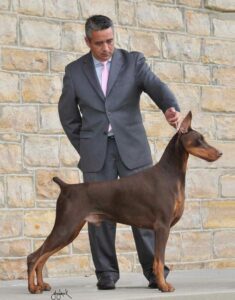 Clinica Veterinaria Irupé