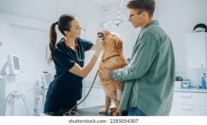 Clinica Veterinaria Los Manantiales