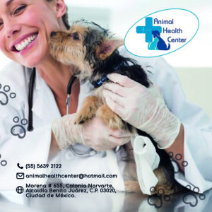 Clinica Veterinaria Morena