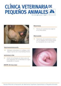 Clinica Veterinaria NEAL