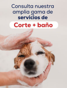 Clínica Veterinaria "Perro Mundo"