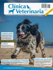 Clínica Veterinaria & Pet Danbar