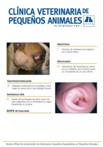 Clinica Veterinaria Salta