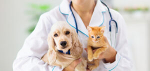 Clínica Veterinaria "Santa Clara"