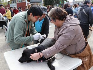 Clínica Veterinaria Sumarán