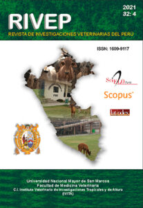 Clinica Veterinaria Tumi