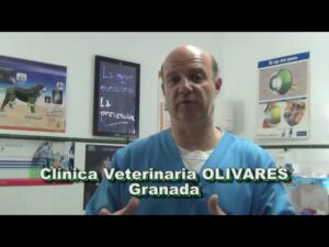 Clínica Veterinaria Vottero