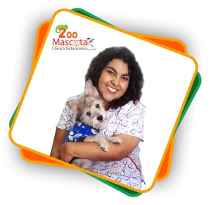 Clinica Veterinaria Zoo