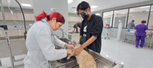 Consultorio Veterinario Agoni