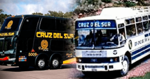 Cruz Del Sur