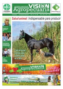CVA Centro Veterinario Austral