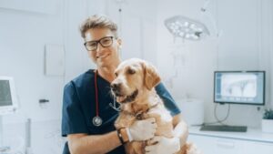 Dr.Vet Veterinaria