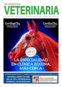 El Alpino Rehabilitación Equina