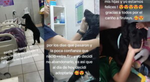 Firulais Pet Clinic