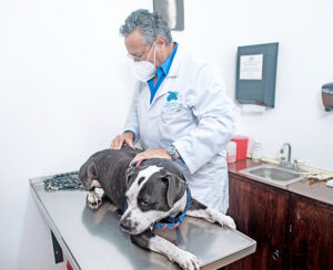 Hospital Veterinario General Pacheco