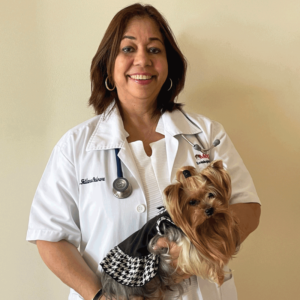 La Madrina Veterinaria
