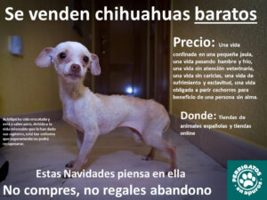 La Yunta Cliníca Veterinaria