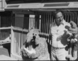 La Yunta Veterinaria En Realico