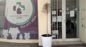 Layús Clínica Veterinaria Integral