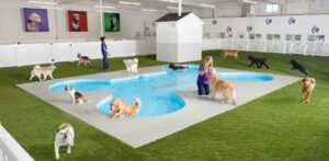Los Cardales Veterinaria