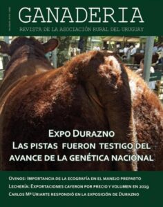 Los Gurises Veterinaria. Grandes Y Pequeños Animales.
