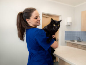 MEDIVET Clínica Veterinaria