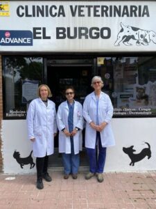 Clínicas Veterinarias En Abasto
