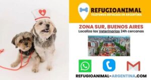 Clínicas Veterinarias En Adrogue