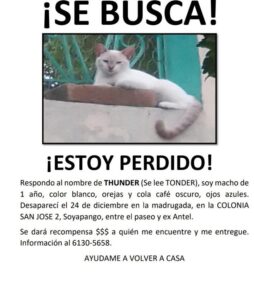 Clínicas Veterinarias En Aguilares