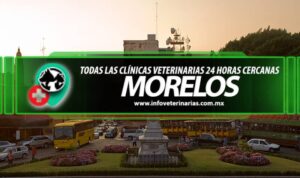 Clínicas Veterinarias En Albardon
