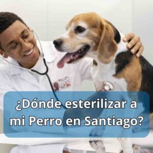 Clínicas Veterinarias En Alderetes