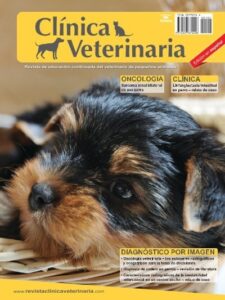 Clínicas Veterinarias En Alejandro Roca