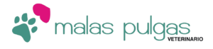 Clínicas Veterinarias En Almagro