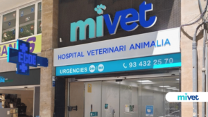 Clínicas Veterinarias En Alta Gracia