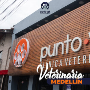 Clínicas Veterinarias En Arroyo Seco