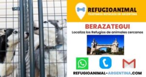 Clínicas Veterinarias En Berazategui