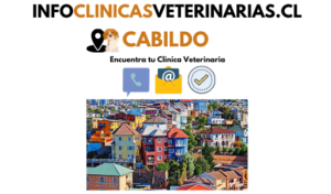 Clínicas Veterinarias En Cabildo