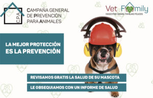 Clínicas Veterinarias En Campana