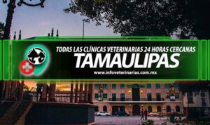 Clínicas Veterinarias En Canada De Gomez