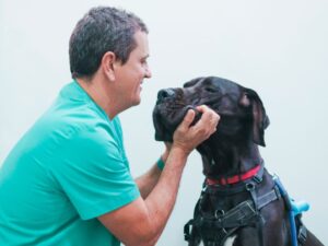Clínicas Veterinarias En Canals